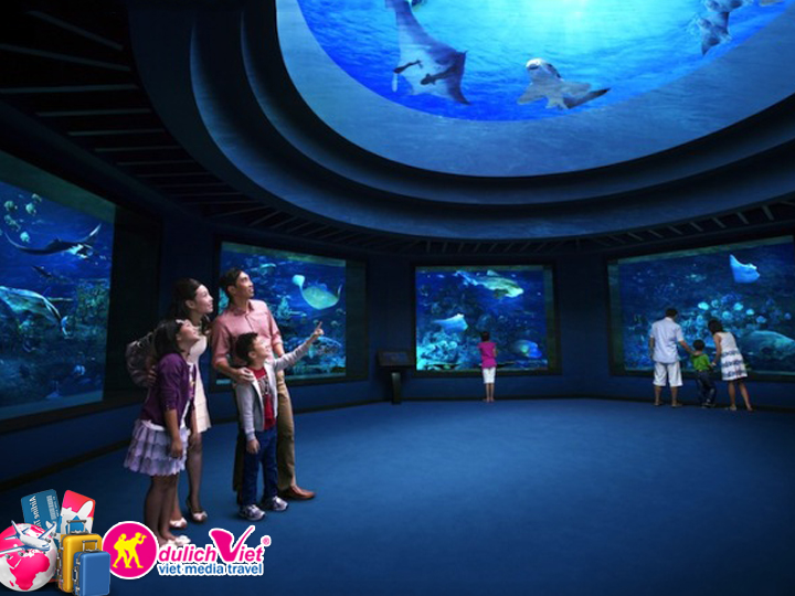 Vé tham quan Singapore Sea Aquarium giá khuyến mãi mua 4 tặng 1